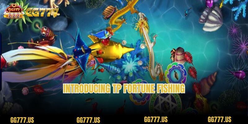 Introducing TP Fortune Fishing